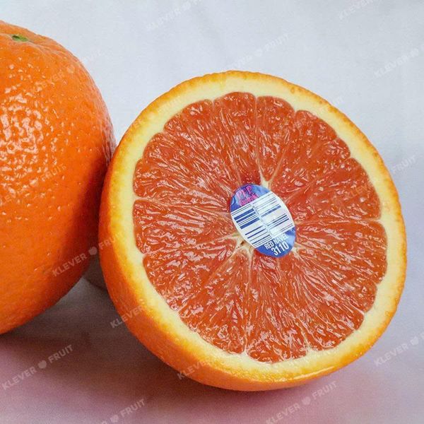 Cam Cara Úc - Cam Ruột Đỏ Úc