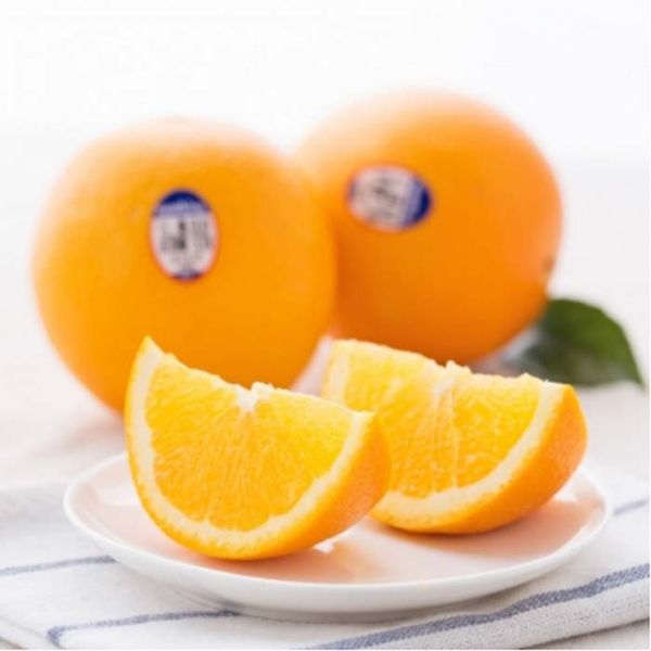 Cam navel Mỹ