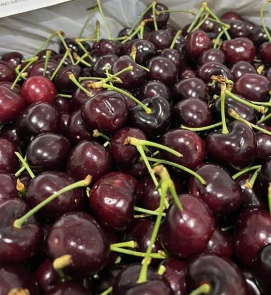 Cherry Mỹ