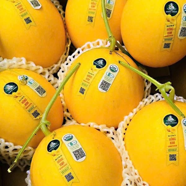 Dưa Hữu Cơ Hồng Kim tại Bonnie Fruit