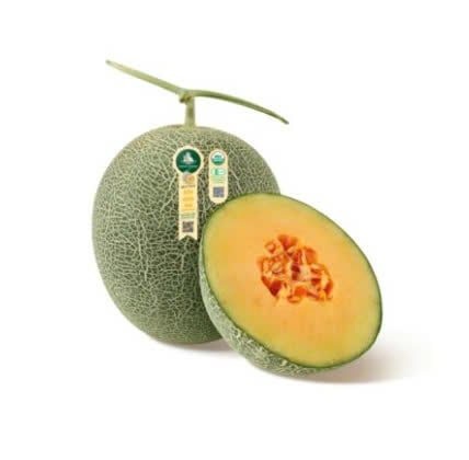 Dưa Lưới Hữu Cơ Biển Hằng Nga Trái Cây Việt Nam Chất Lượng Cao 🍈