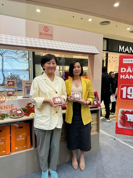Gian-hang-Bonnie-Fruit-tai-k-fresh-festival-2025