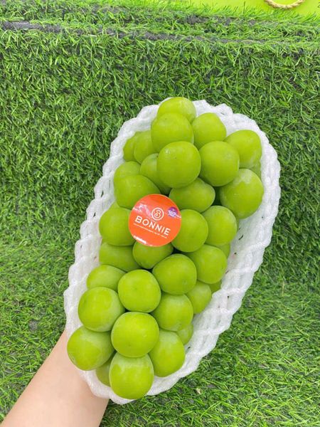 Nho Sữa Nội Địa Trung tại Bonnie Fruit