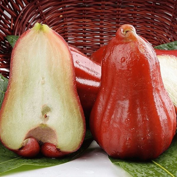 Roi đỏ An Phước hay còn gọi là Mận An Phước tại Bonnie Fruit