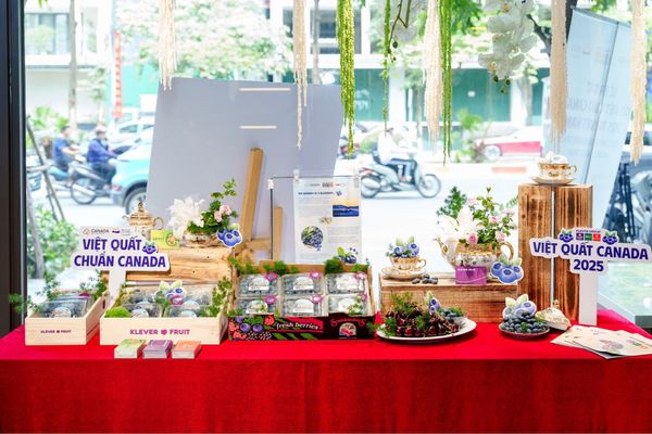 Việt Quất Canada