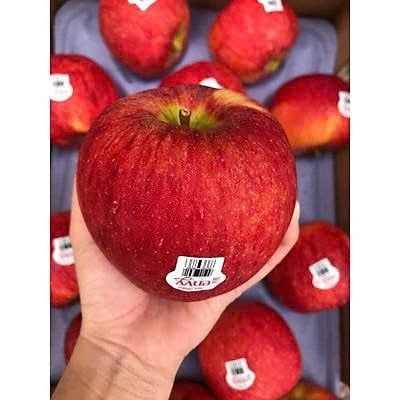 Táo Envy New Zealand