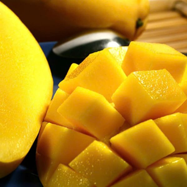 Xoài Cát Chu Việt Nam