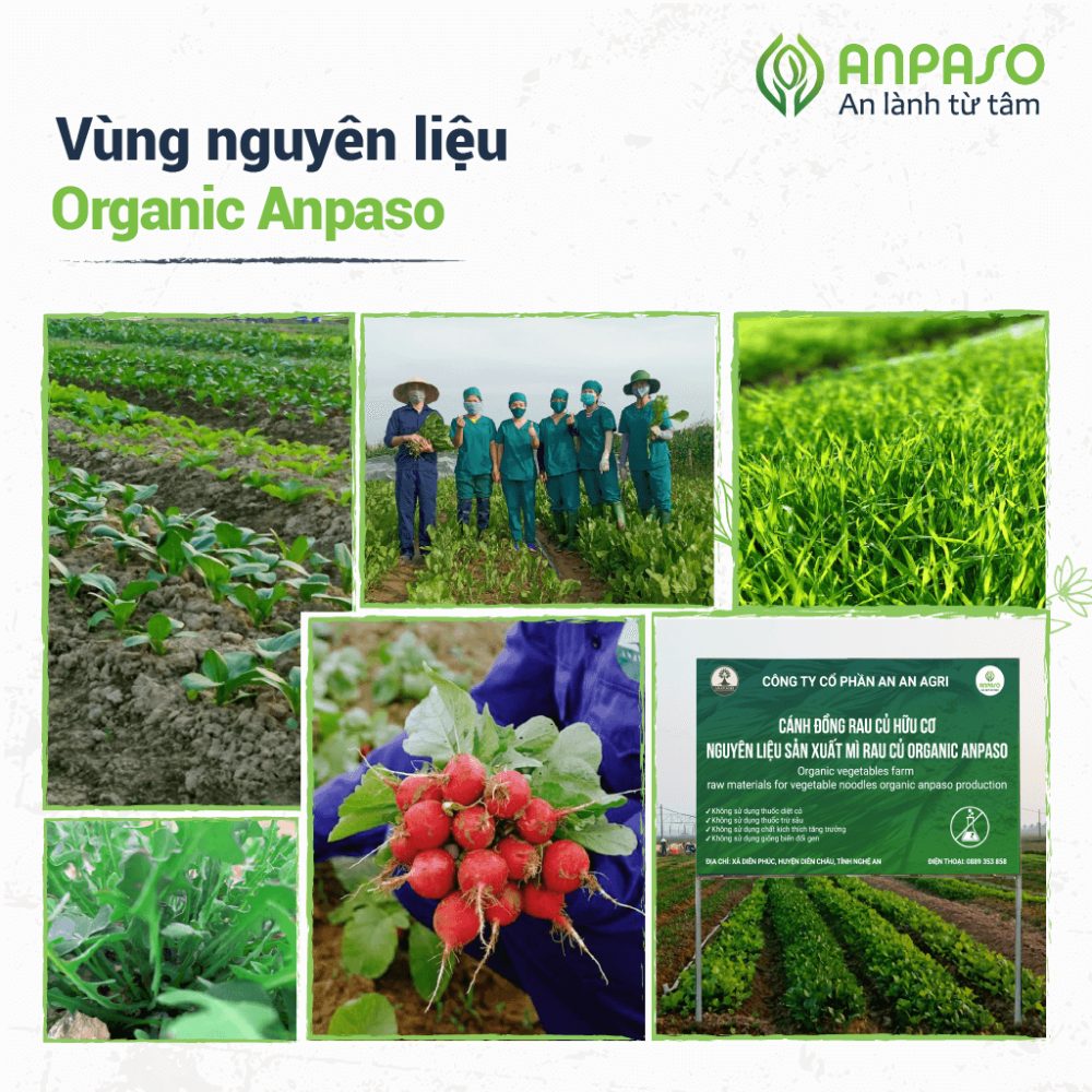 Mì ăn dặm hữu cơ củ cải đỏ và củ dền Anpaso 120g Organic (từ 7 tháng)