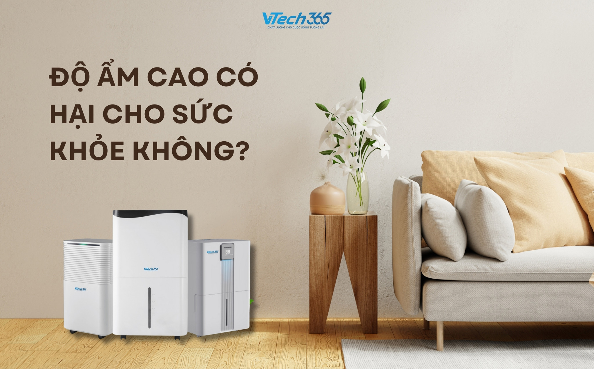 Độ ẩm cao có hại cho sức khỏe không? Giải pháp kiểm soát độ ẩm hiệu quả