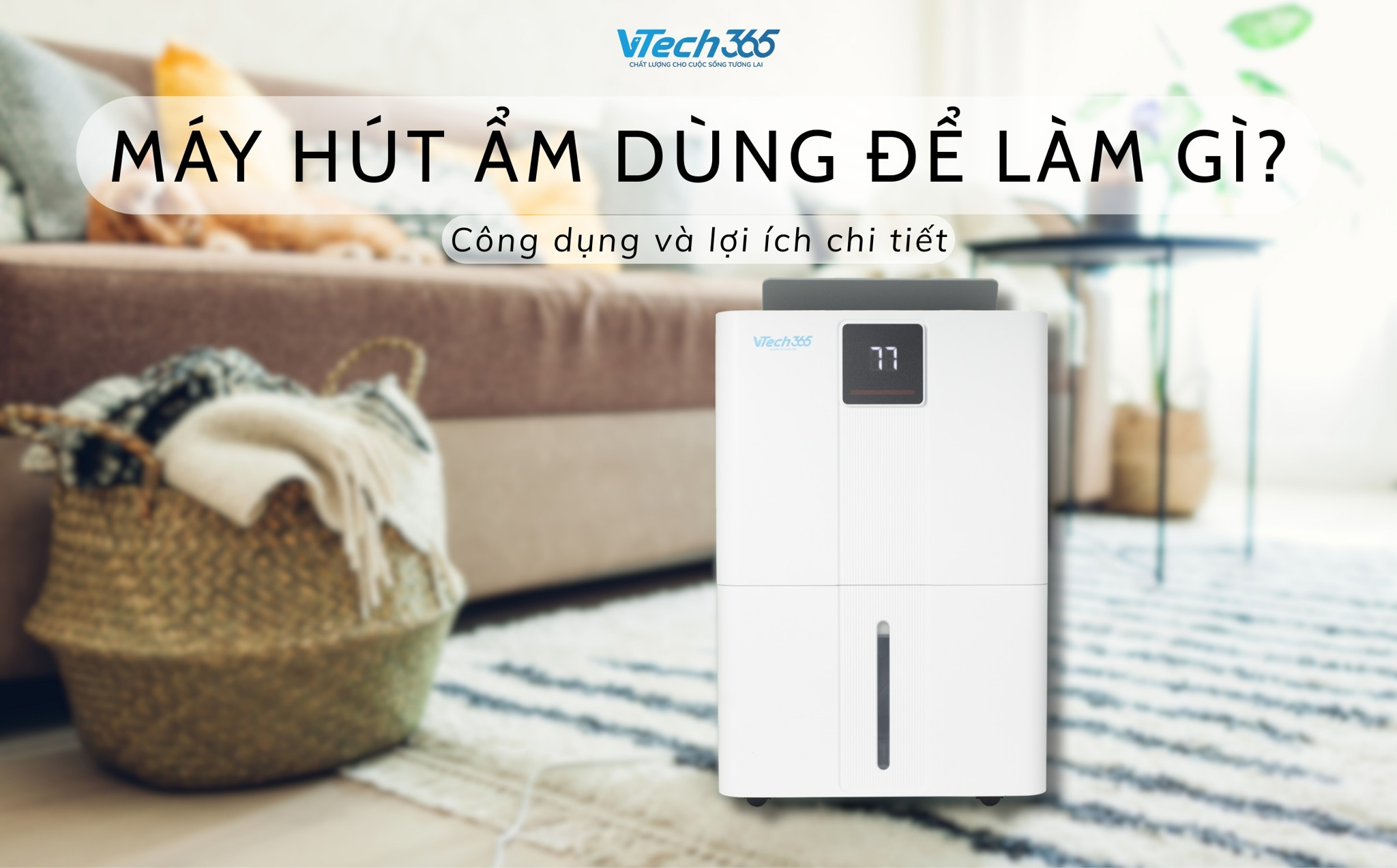 Máy hút ẩm dùng để làm gì? Công dụng và lợi ích chi tiết