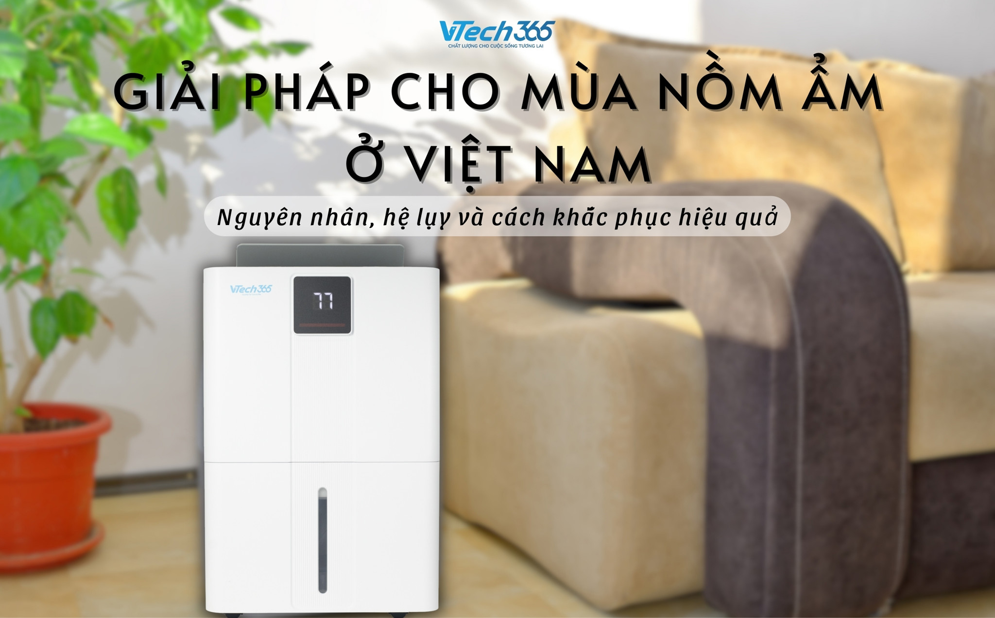 Giải pháp cho mùa nồm ẩm ở Việt Nam: Nguyên nhân, hệ lụy và cách khắc phục hiệu quả
