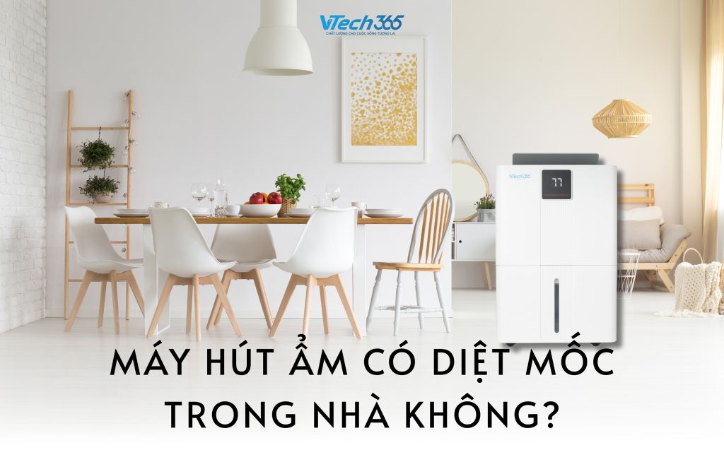 Máy hút ẩm có diệt mốc trong nhà không?