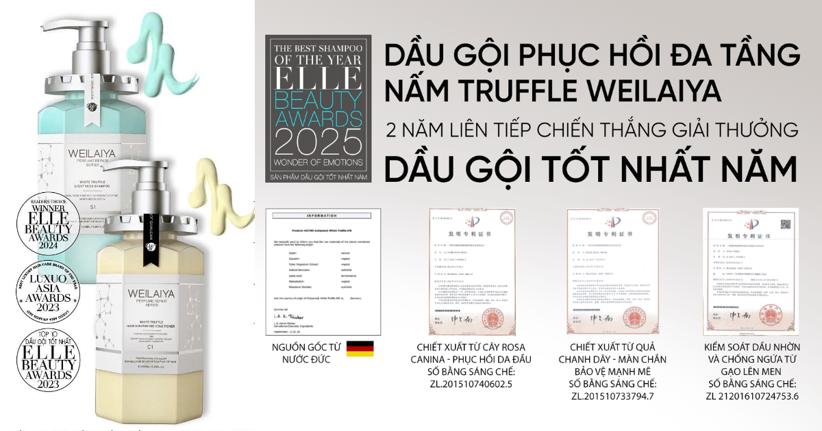 Dầu Gội Phục Hồi Nấm Truffle Weilaiya – Cứu Cánh Cho Tóc Hư Tổn Nặng