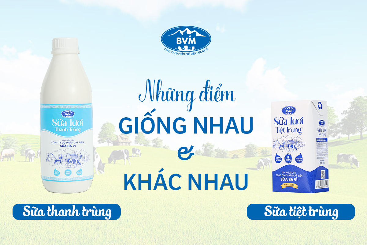 Sữa tươi thanh trùng - sữa tươi tiệt trùng: Những điểm giống nhau và khác nhau