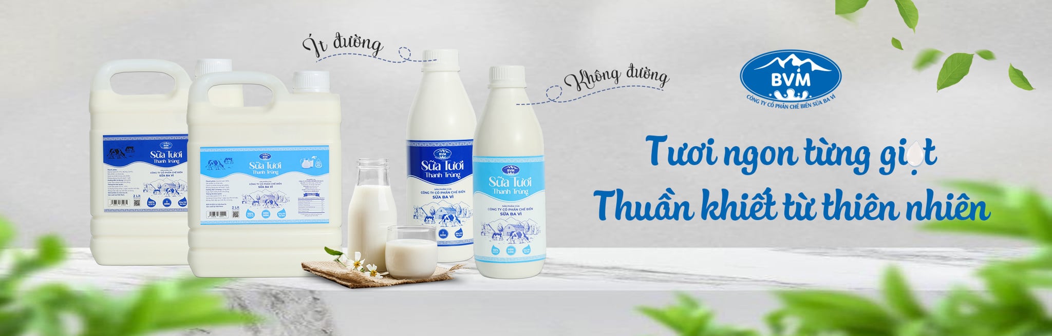 Sữa tươi thanh trùng