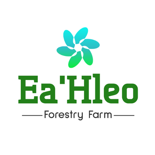Ea H'leo Forestry Two Member Limited Liability Company