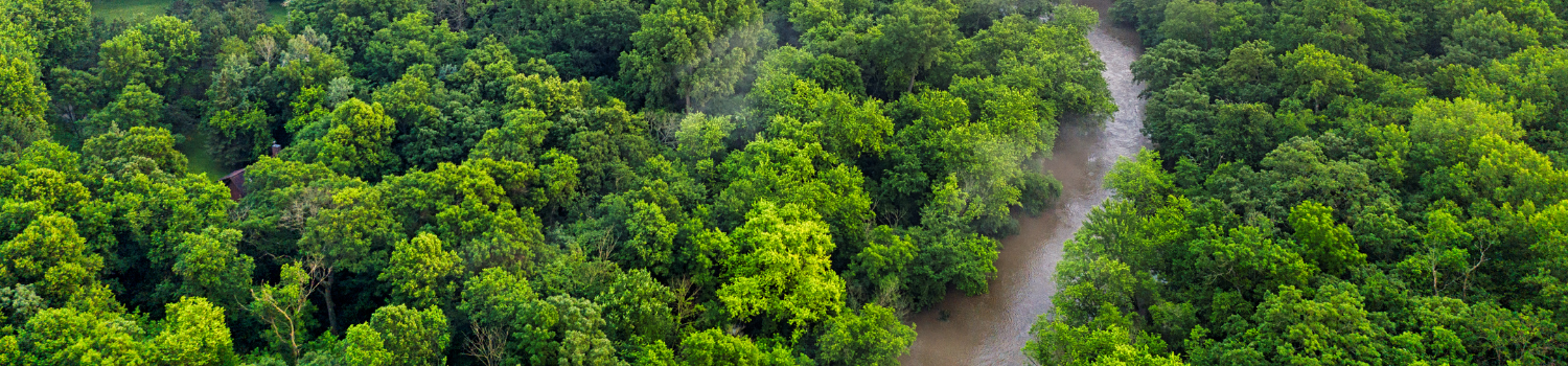 NÔNG - LÂM NGHIỆP