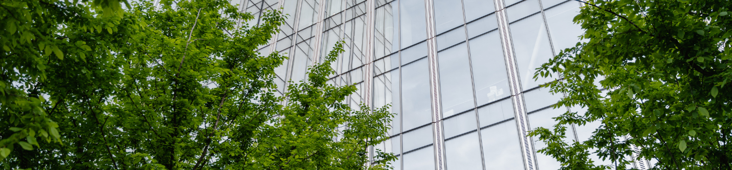 Subsidiaries, joint ventures, associates and other member companies