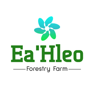 Công Ty TNHH Hai thành viên Lâm nghiệp Ea H’leo