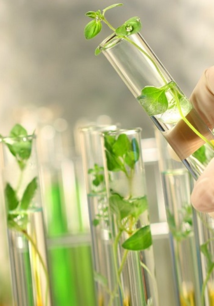 Van Thuong Dak Nong Company Limited
