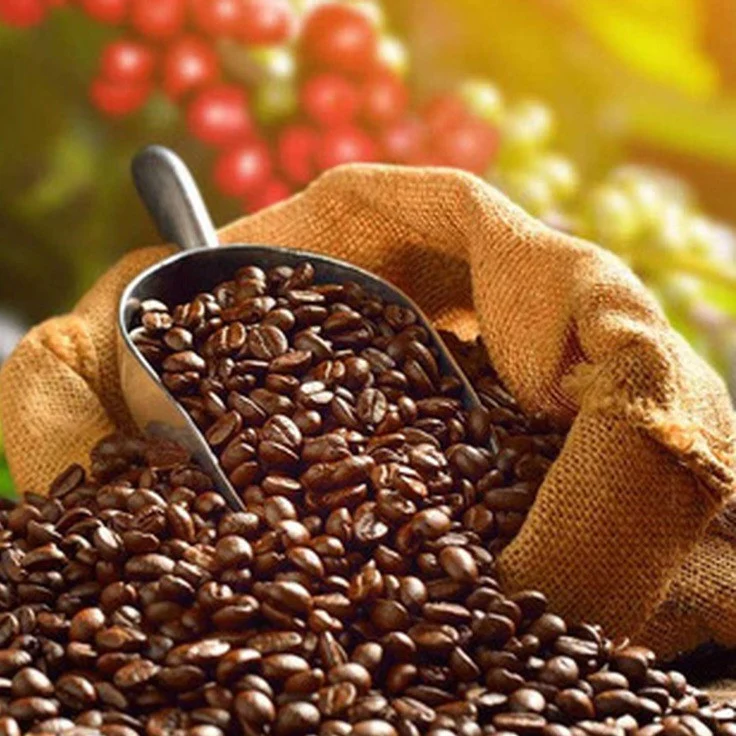 Cà Phê Ngon Tại Việt Nam – Tinh Hoa Từ Đất Trời và Bản Sắc Văn Hóa