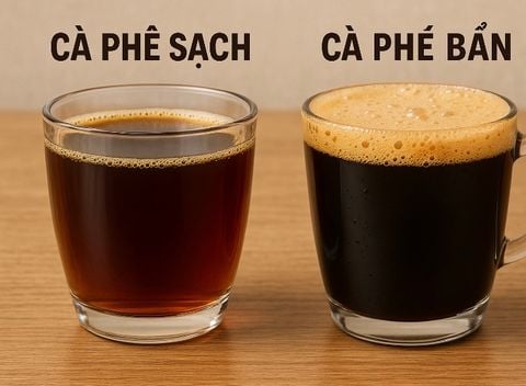 PHÂN BIỆT CÀ PHÊ SẠCH VÀ CÀ PHÊ BẨN