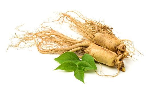 TÌM HIỂU VỀ ĐẢNG SÂM VÀ CÔNG DỤNG HỖ TRỢ TĂNG CƯỜNG SỨC KHOẺ