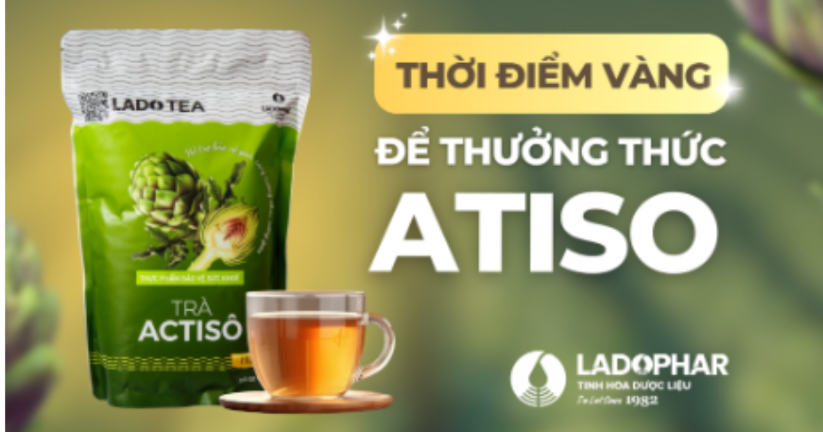 Bạn có đang sử dụng trà Atiso đúng cách