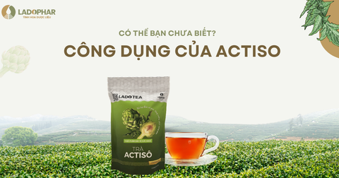 CÔNG DỤNG CỦA ACTISO CÓ THỂ BẠN CHƯA BIẾT