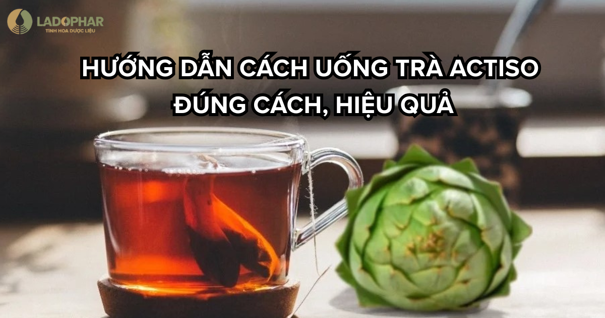 Hướng dẫn cách uống trà Actiso đúng cách, hiệu quả