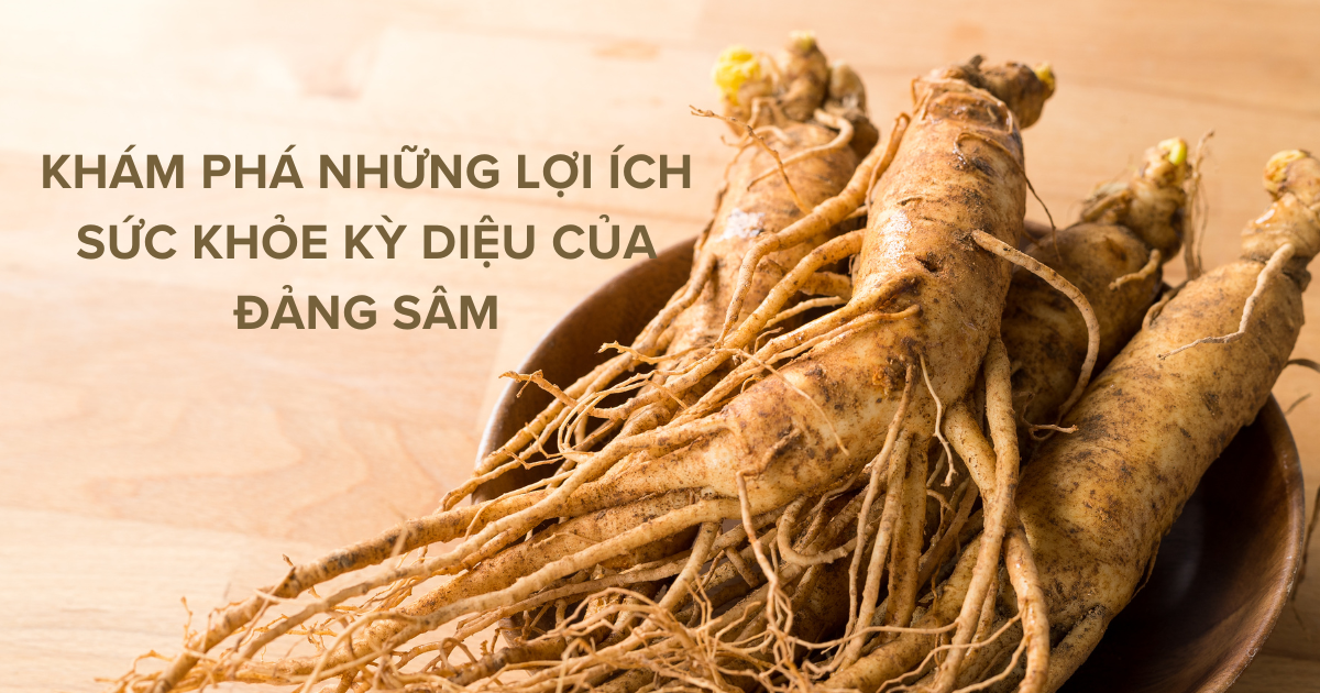 Khám Phá Những Lợi Ích Sức Khỏe Kỳ Diệu Của Đảng Sâm