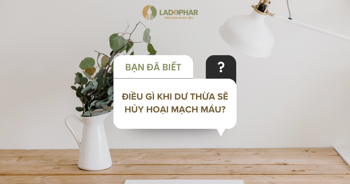 ĐIỀU GÌ KHI DƯ THỪA SẼ HỦY HOẠI MẠCH MÁU?