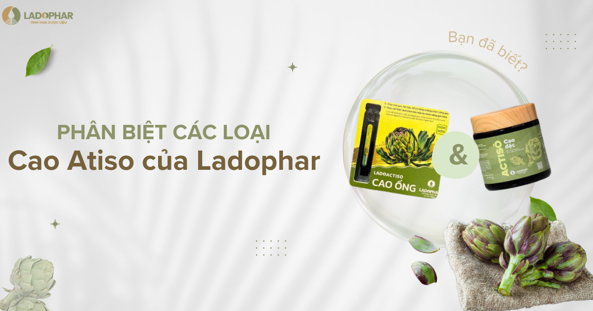 Phân biệt các loại cao Atiso của Ladophar
