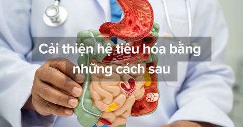 Cải thiện hệ tiêu hóa bằng chế độ ăn uống và lối sống lành mạnh
