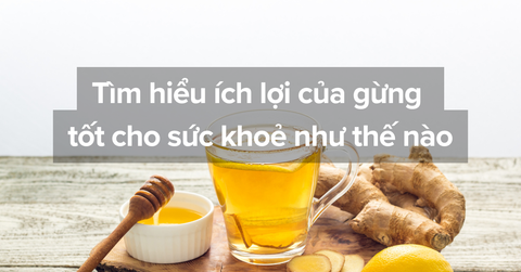 Tìm hiểu ích lợi của gừng tốt cho sức khoẻ như thế nào