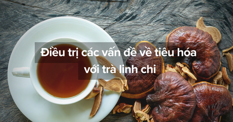 Điều trị các vấn đề về tiêu hóa với trà linh chi