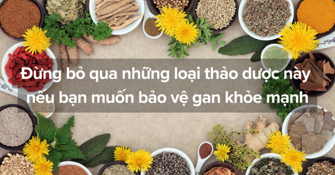 Đừng bỏ qua những loại thảo dược này nếu bạn muốn bảo vệ gan khỏe mạnh