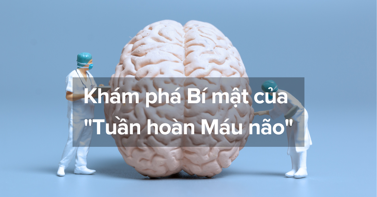 Khám phá Bí mật của