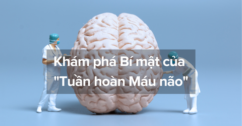 Khám phá Bí mật của 