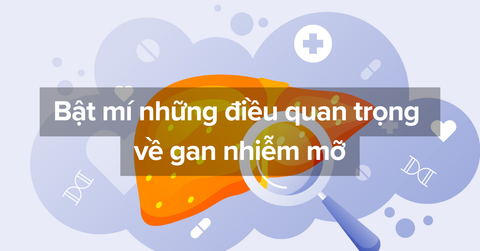 Bật mí những điều quan trọng về gan nhiễm mỡ