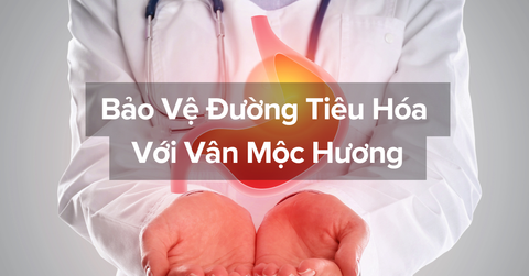 Bảo Vệ Đường Tiêu Hóa Hiệu Quả Với Vân Mộc Hương