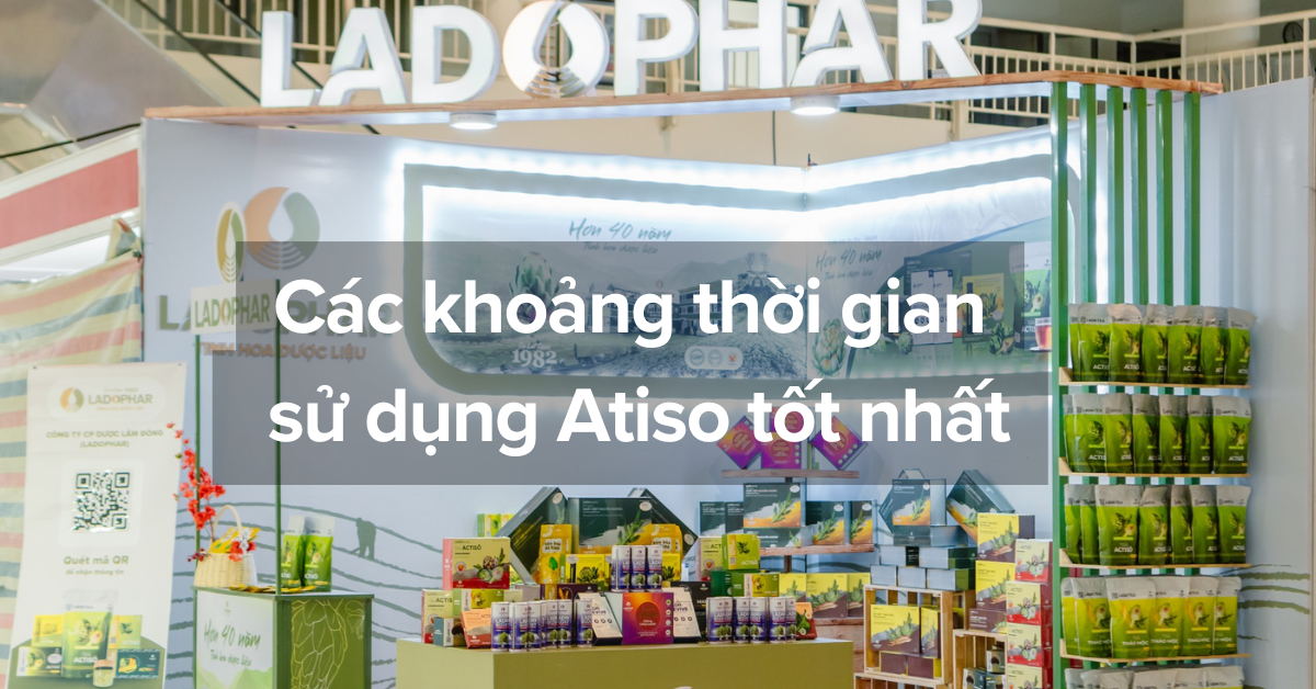 Các khoảng thời gian sử dụng Atiso Đà Lạt tốt nhất