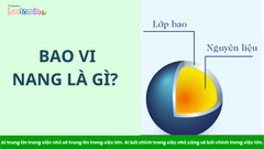 BÍ QUYẾT BẢO VỆ ĐƯỜNG TIÊU HÓA TỐI ƯU VỚI MEN VI SINH BAO VI NANG