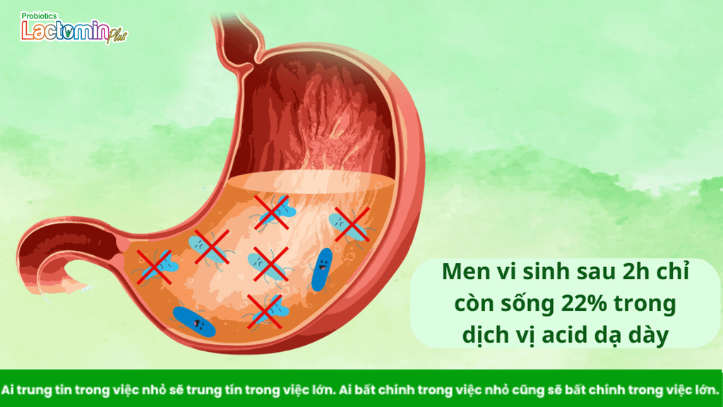 Hình ảnh bài viết