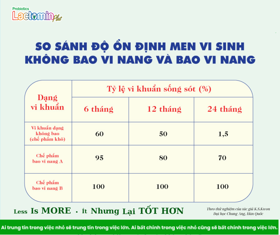 Hình ảnh bài viết