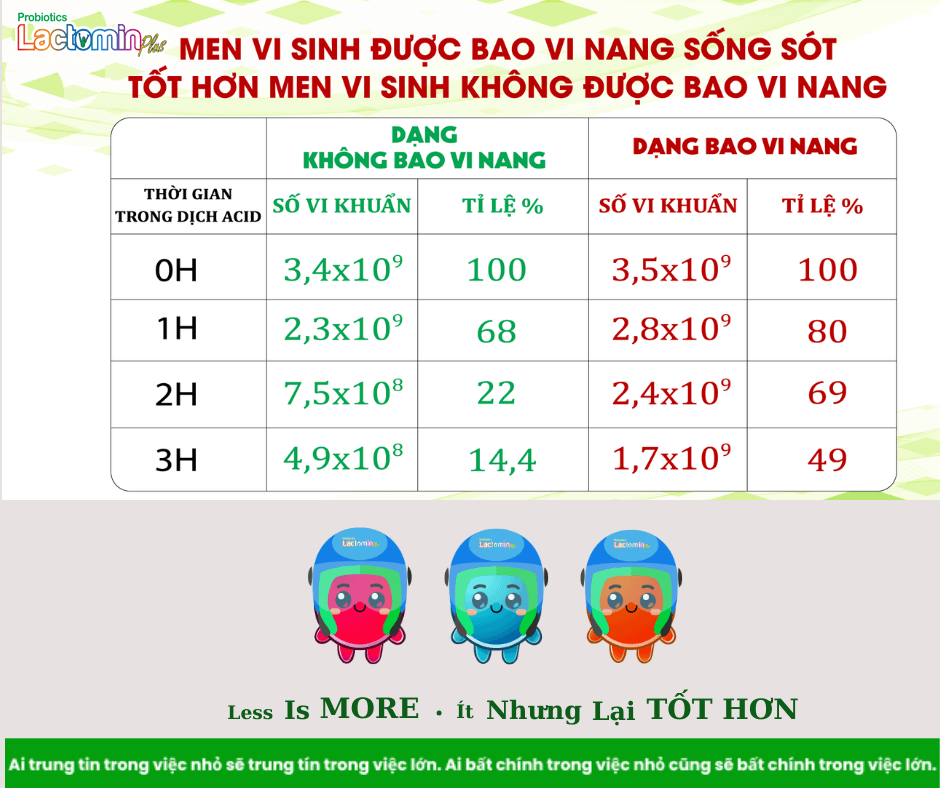 Hình ảnh bài viết