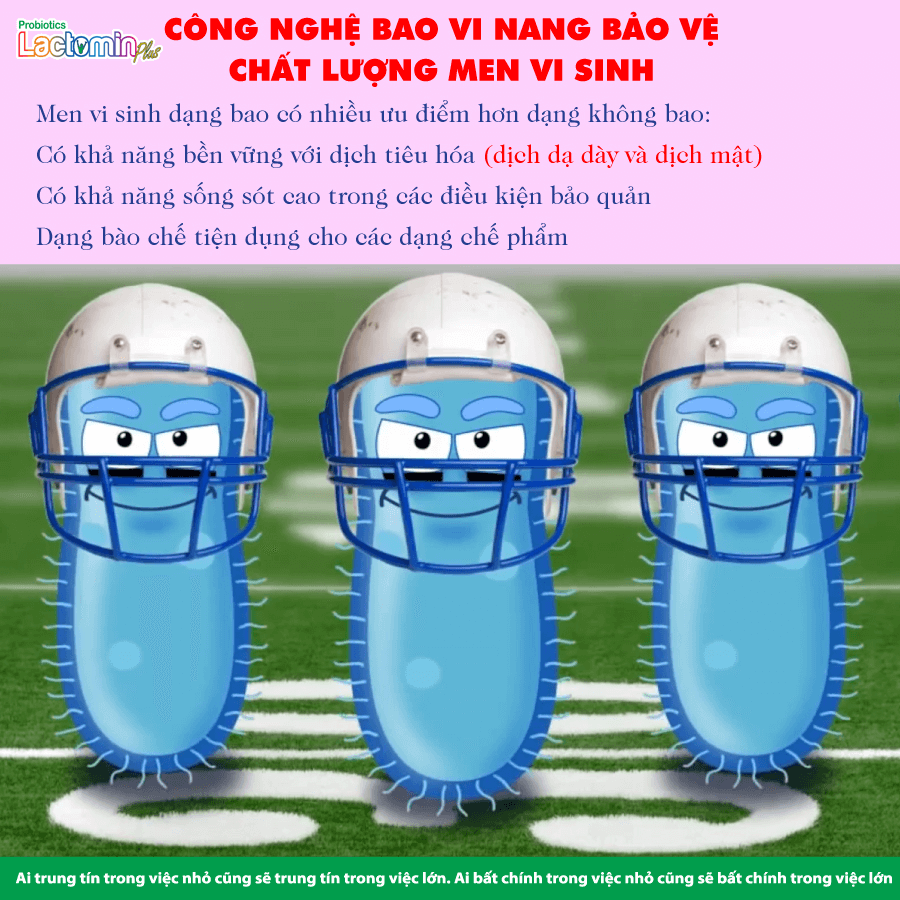 Hình ảnh bài viết