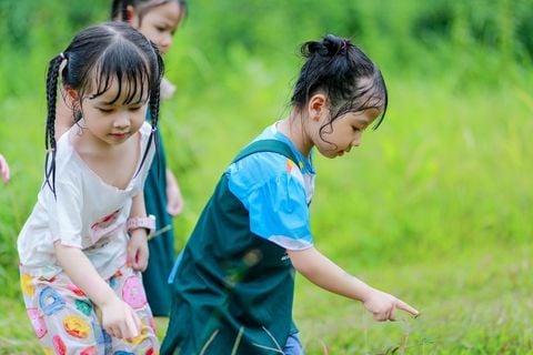 Hành Trình Phát Triển Của Trẻ 0-6 Tuổi: Não Bộ Thần Kỳ & Trí Tuệ Hấp Thu