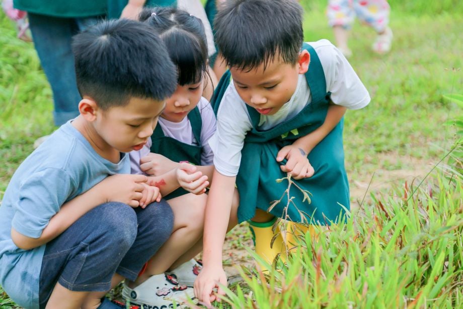 Sự Phát Triển của Ngôn Ngữ Nói và Ngôn Ngữ Viết: Những Yêu Cầu Cần Thiết Để Phát Triển Ngôn Ngữ Ở Trẻ