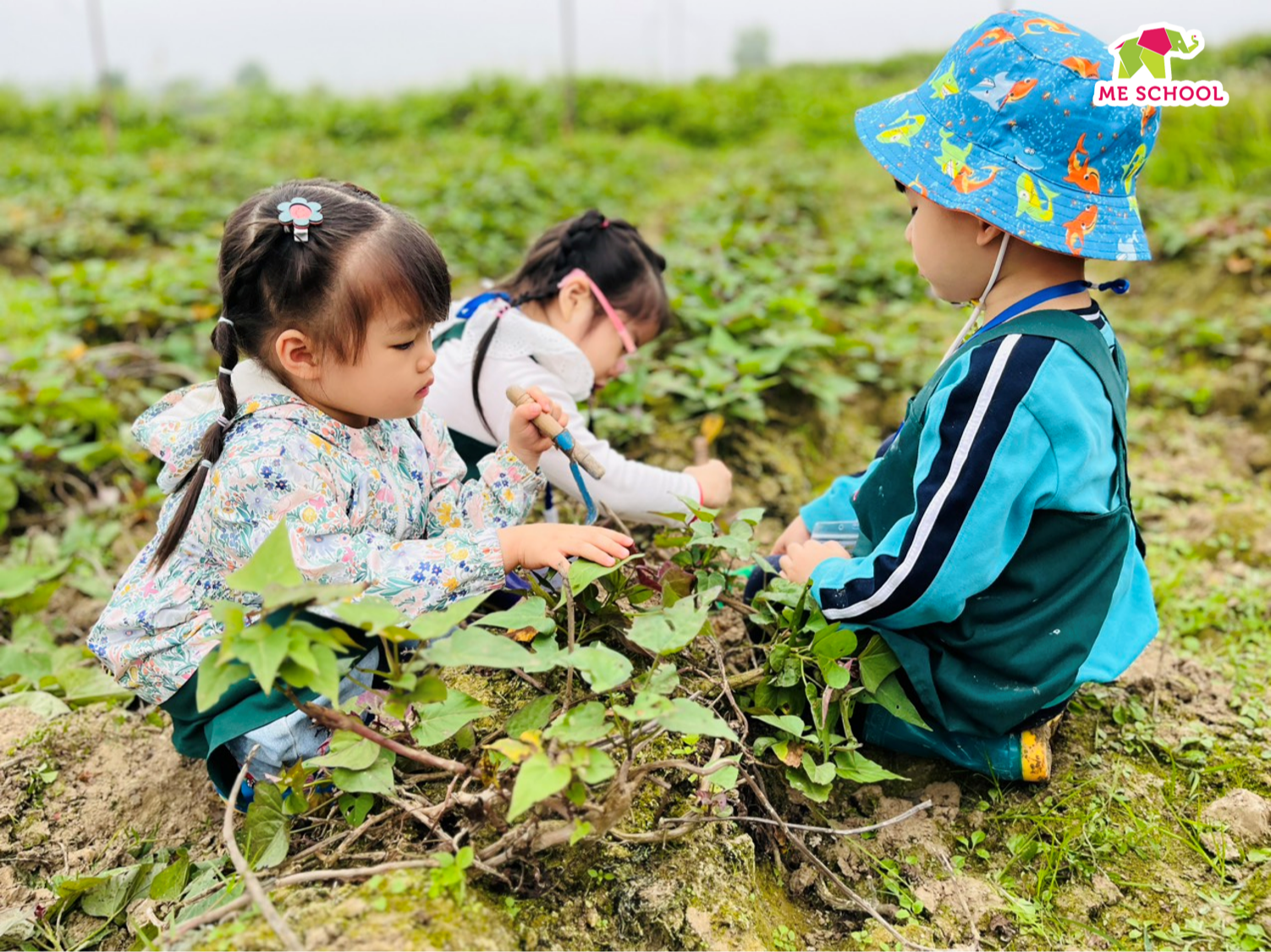 Những chuyến đi dã ngoại ngoài thiên nhiên mang lại điều gì cho trẻ?